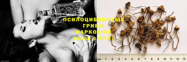 крисы Алексин