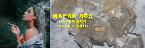мяу мяу мука Абаза