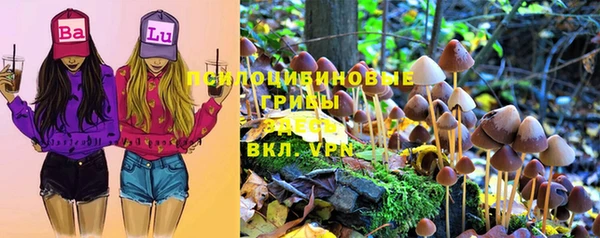 мяу мяу мука Абаза