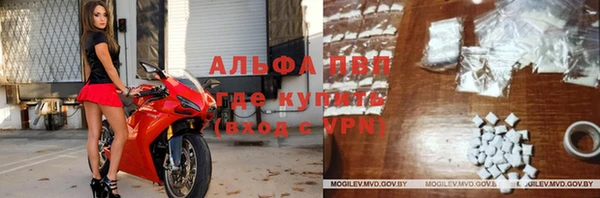 мяу мяу мука Абаза